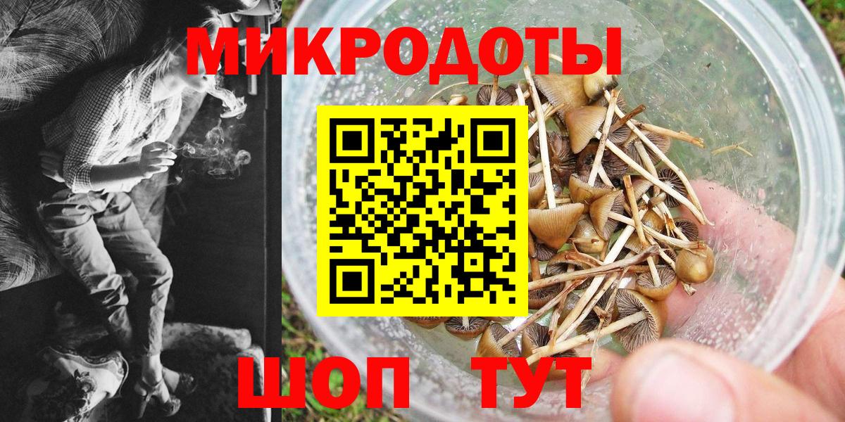 Галлюциногенные грибы Magic Shrooms Новодвинск