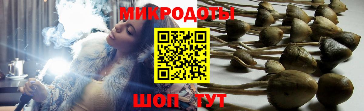 Псилоцибиновые грибы Psilocybine cubensis  магазин продажи   Новодвинск  Вход с VPN 